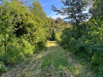 Venta parcelas Camino Las Mariposas Km 17,5 con orilla de Río Chillán