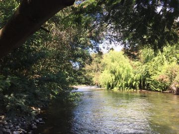 Venta parcelas Camino Las Mariposas Km 17,5 con orilla de Río Chillán