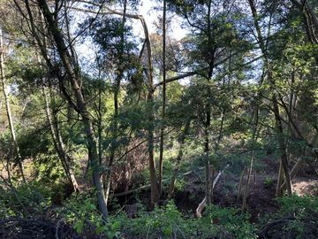 Venta parcelas Camino Las Mariposas Km 17,5 con orilla de Río Chillán