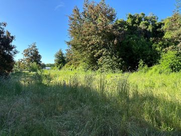 Venta parcelas Camino Las Mariposas Km 17,5 con orilla de Río Chillán