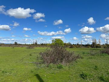 Nuevo precio! Últimas 5 parcelas con acceso a río Cato en Camino a Cato Km 14, Chillán