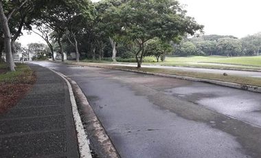 Manila Southwoods Lot for Sale