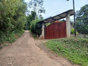 LOTE TOCOTA