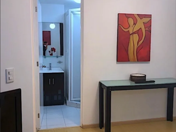 DEPARTAMENTO EN COL. POLANCO V SECC, ALC. MIGUEL HIDALGO.