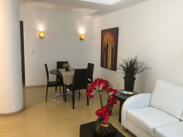 DEPARTAMENTO EN COL. POLANCO V SECC, ALC. MIGUEL HIDALGO.