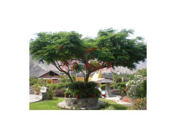 Calle 27 3ra Etapa, mz 28 Cieneguilla 15593, Perú