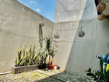 Rumah Model Modern Tropical House Mewah & Keren di Serpong