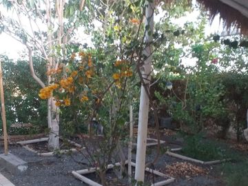 Vendo Casa Full Amoblada En Condominio Altos De Pica, En Pica