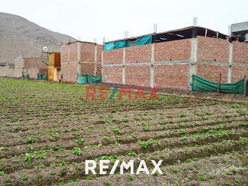 Venta De Terreno Agrícola: Ideal Para Inversores Y Agricultores
