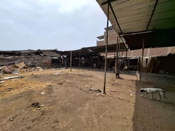 EN VENTA EXCELENTE TERRENO EN CAMPOY, SAN JUAN DE LURIGANCHO