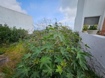 TERRENO EN VENTA FRACC.ZIBATÀ 128MTS2 CERCA UNIVERSIDAD ANÀHUAC VIGILANCIA