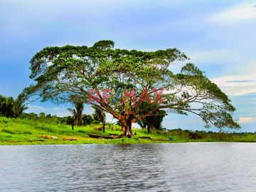 Terreno En Esquina 300M2 | Independizado - Sunarp | A 15 Minutos De Open Plaza, Real Plaza Y Aeropuerto Pucallpa