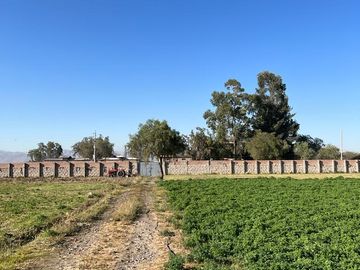 TERRENOS AGRÍCOLAS CON ZONIFICACIÓN COMERCIAL EN ZAMÁCOLA EN VENTA