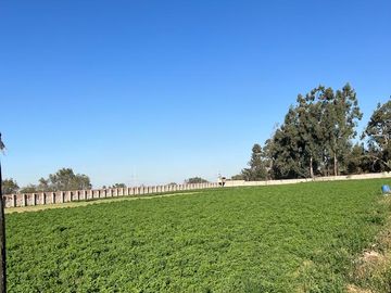 TERRENOS AGRÍCOLAS CON ZONIFICACIÓN COMERCIAL EN ZAMÁCOLA EN VENTA