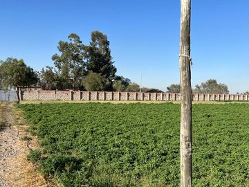 TERRENOS AGRÍCOLAS CON ZONIFICACIÓN COMERCIAL EN ZAMÁCOLA EN VENTA