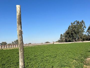 TERRENOS AGRÍCOLAS CON ZONIFICACIÓN COMERCIAL EN ZAMÁCOLA EN VENTA