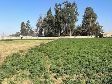 TERRENOS AGRÍCOLAS CON ZONIFICACIÓN COMERCIAL EN ZAMÁCOLA EN VENTA
