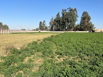 TERRENOS AGRÍCOLAS CON ZONIFICACIÓN COMERCIAL EN ZAMÁCOLA EN VENTA