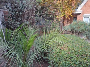 Gran casa 6 dormitorios lindo jardín 