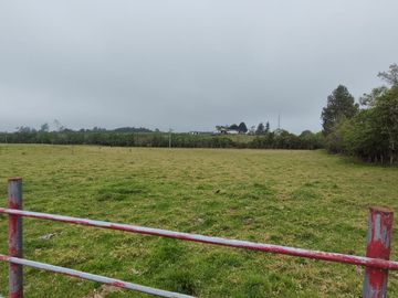 Vendo finca de 7,6 Hectareas en Aloag