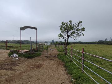 Vendo finca de 7,6 Hectareas en Aloag