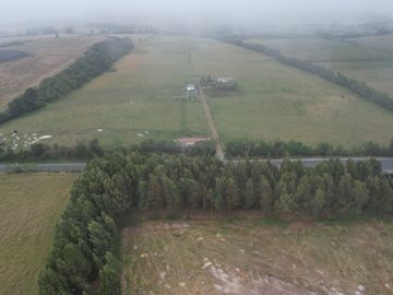 Vendo finca de 7,6 Hectareas en Aloag