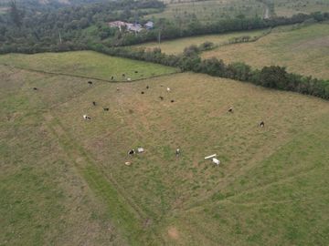 Vendo finca de 7,6 Hectareas en Aloag