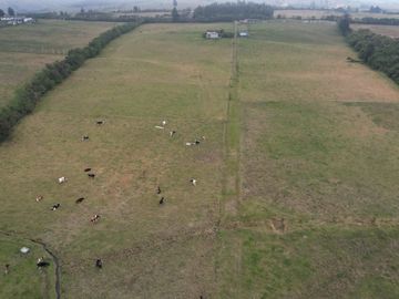 Vendo finca de 7,6 Hectareas en Aloag