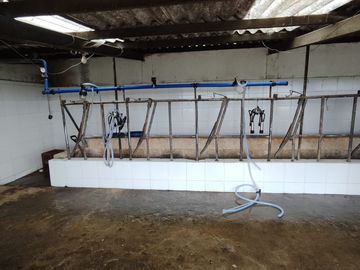 Vendo finca de 7,6 Hectareas en Aloag