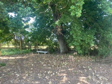 Venta linda parcela 2,6 ha. de cultivo árboles frutales en Malloa, Chillán