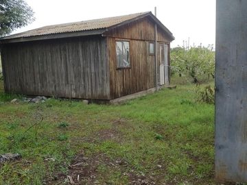 Venta linda parcela 2,6 ha. de cultivo árboles frutales en Malloa, Chillán