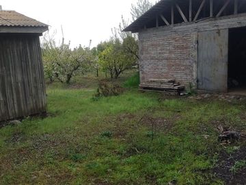 Venta linda parcela 2,6 ha. de cultivo árboles frutales en Malloa, Chillán