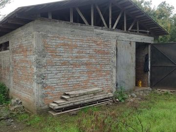 Venta linda parcela 2,6 ha. de cultivo árboles frutales en Malloa, Chillán