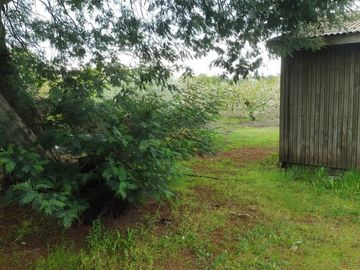 Venta linda parcela 2,6 ha. de cultivo árboles frutales en Malloa, Chillán