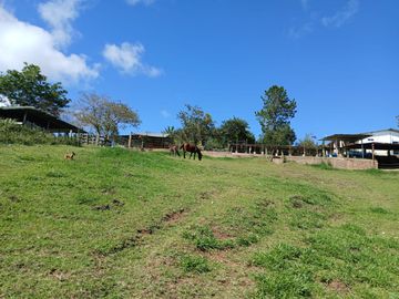 FINCA GANADERA EN VIJES