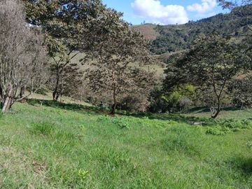FINCA GANADERA EN VIJES