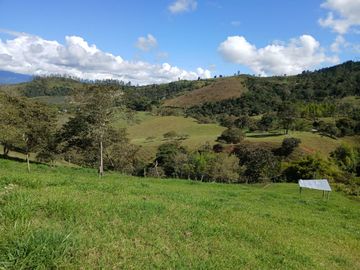 FINCA GANADERA EN VIJES