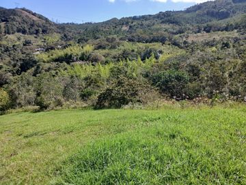 FINCA GANADERA EN VIJES