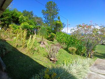 FINCA GANADERA EN VIJES