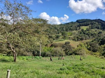FINCA GANADERA EN VIJES