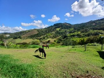 FINCA GANADERA EN VIJES