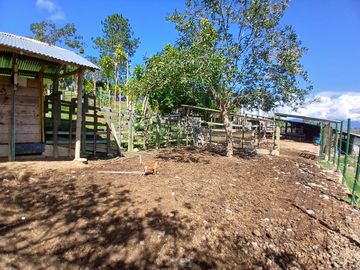 FINCA GANADERA EN VIJES