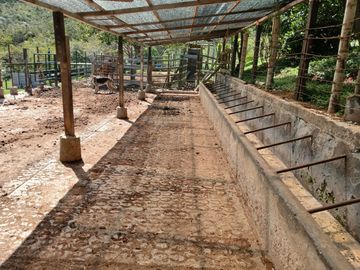 FINCA GANADERA EN VIJES