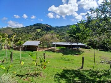 FINCA GANADERA EN VIJES