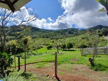 FINCA GANADERA EN VIJES