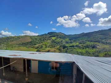 FINCA GANADERA EN VIJES
