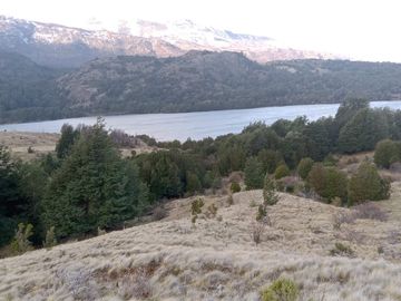 VENDO 40 HECTÁREAS CON ORILLA DE LAGO NEGRO, COMUNA DE RIO IBÁÑEZ, REGIÓN DE AYSEN