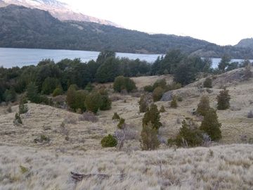 VENDO 40 HECTÁREAS CON ORILLA DE LAGO NEGRO, COMUNA DE RIO IBÁÑEZ, REGIÓN DE AYSEN