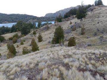 VENDO 40 HECTÁREAS CON ORILLA DE LAGO NEGRO, COMUNA DE RIO IBÁÑEZ, REGIÓN DE AYSEN