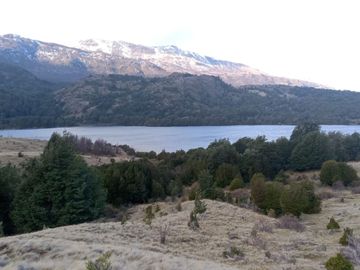 VENDO 40 HECTÁREAS CON ORILLA DE LAGO NEGRO, COMUNA DE RIO IBÁÑEZ, REGIÓN DE AYSEN